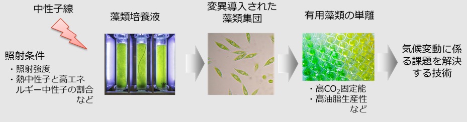 NTT,ユーグレナ実証実験の概要