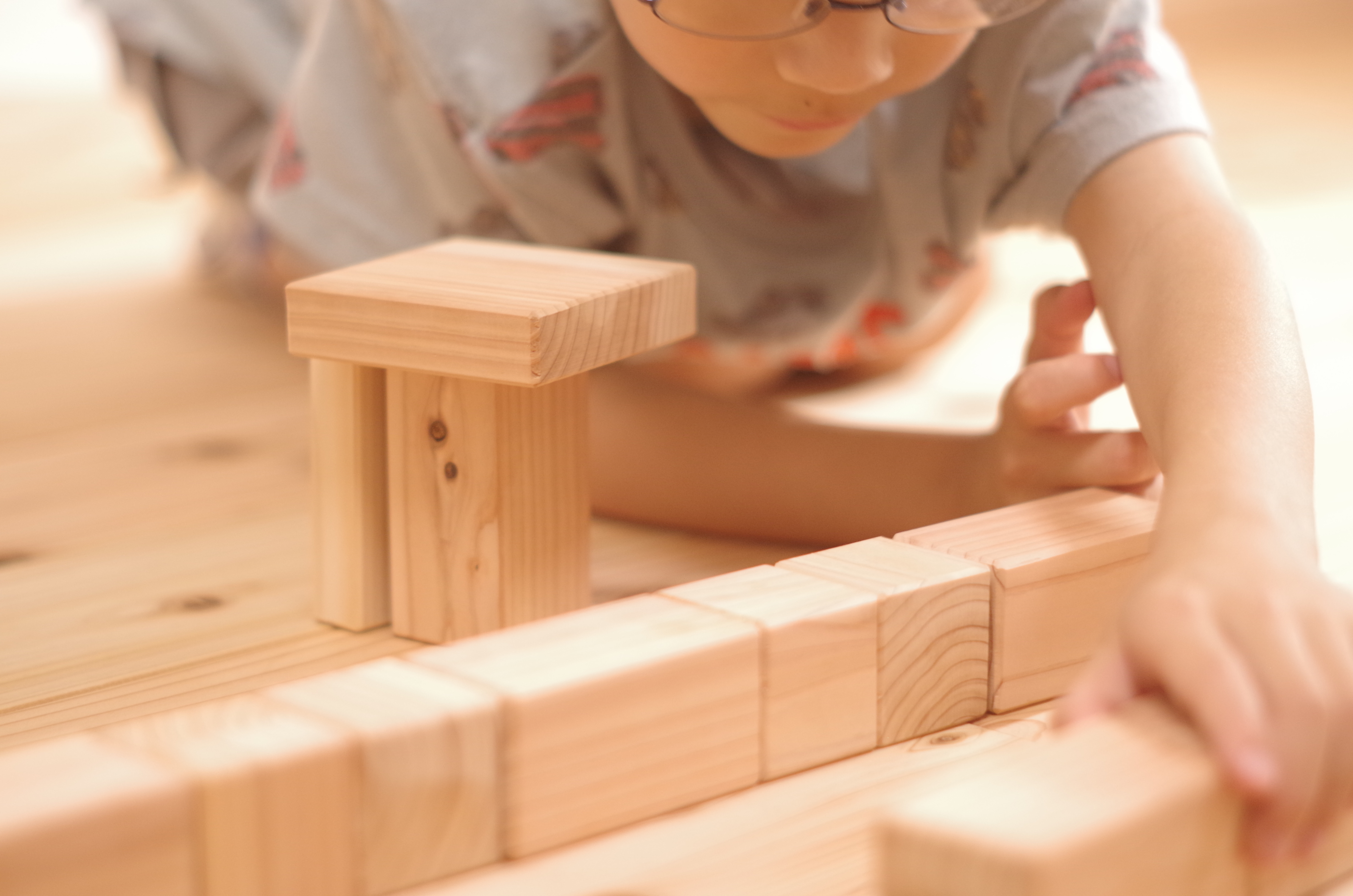 生い立ちの分かる国産材で日本の森林を守る　国産材活用で脱炭素社会を実現_顔の見える積み木