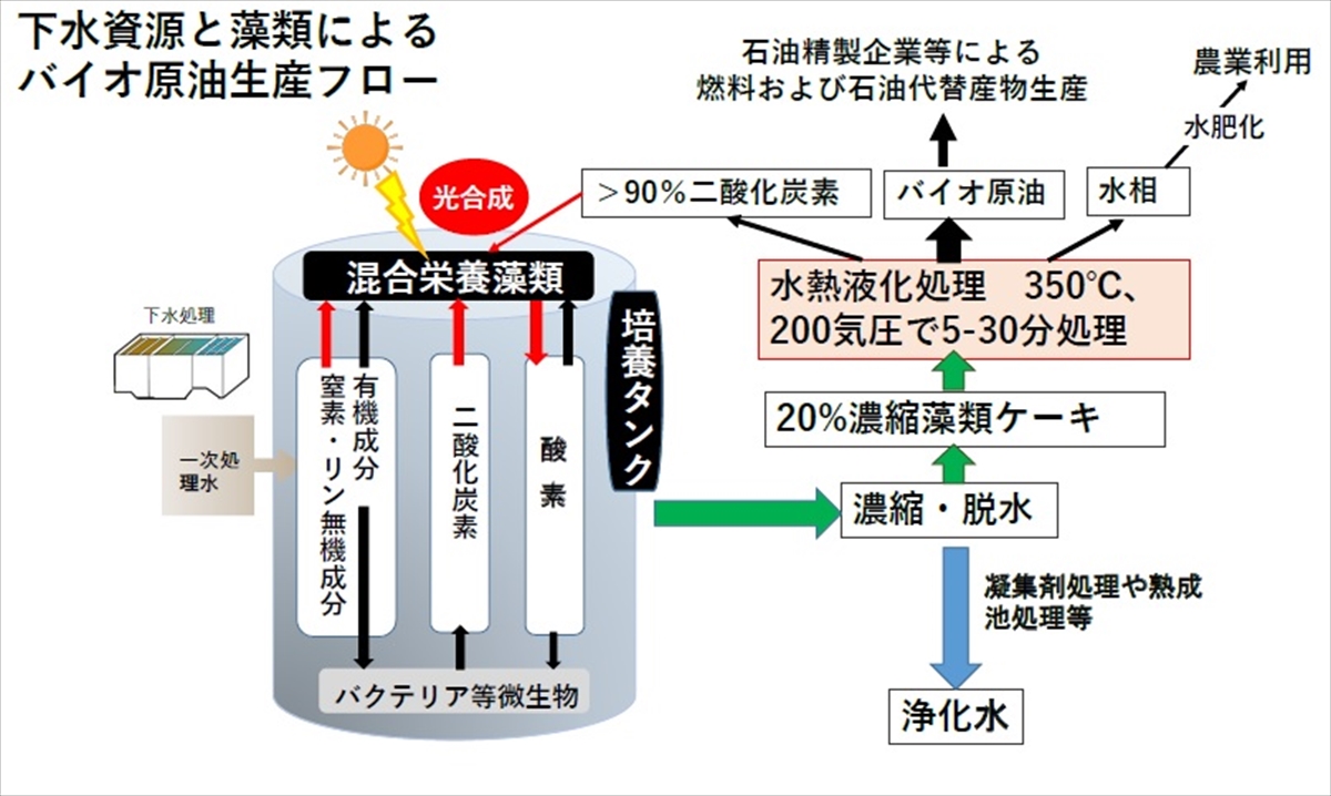 オルタナティブ・テクノロジー（62）　藻類産業創成コンソーシアム 渡邉　信 理事長に聞く　エリートの優秀さより雑草の逞しさ（その２）_
