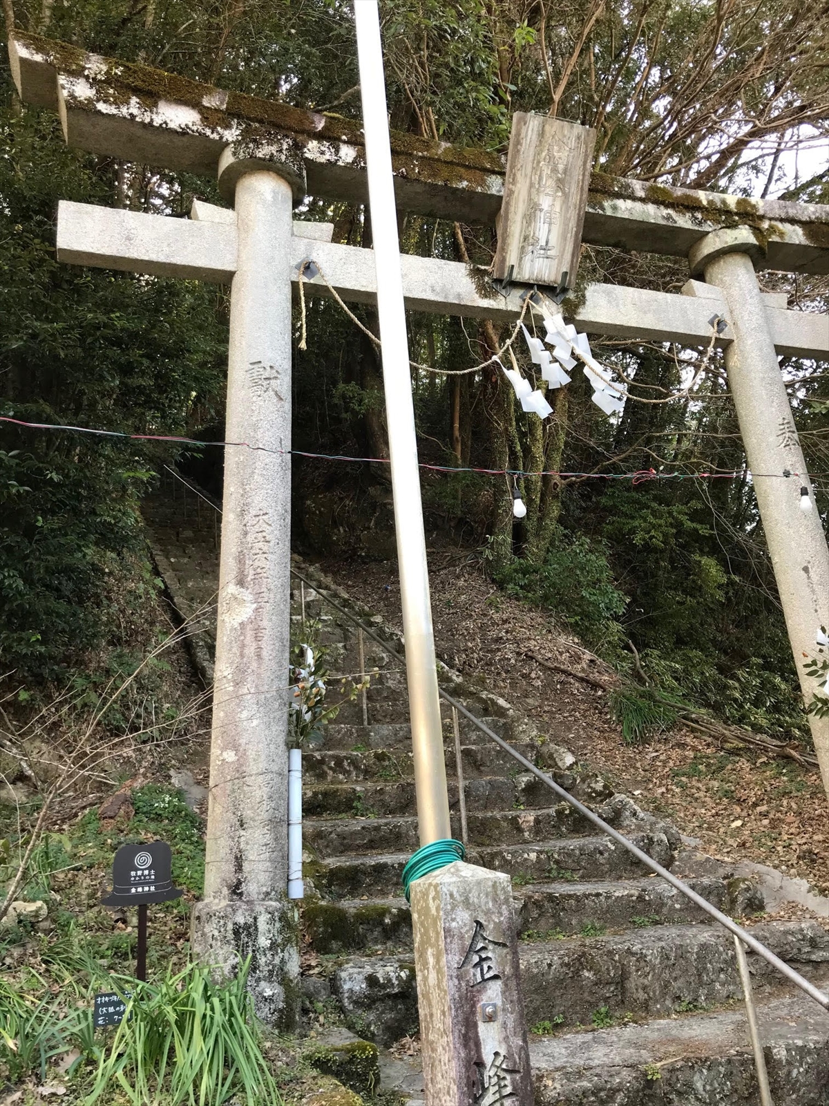 生物学×環境～大学の研究室より～２‐（12）　日本の植物学の祖―牧野富太郎の生まれ故郷を訪ねて_牧野博士の自宅裏手にあった金峰神社（高知県佐川町）。幼少のころここで見たバイカオウレンを特に好まれた