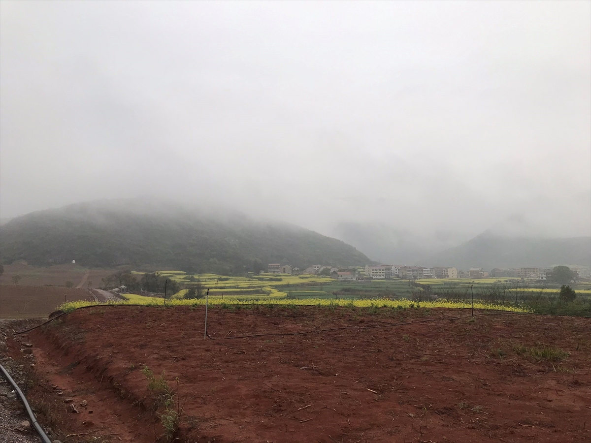 雨で霞む開発予定の石灰石鉱山（麓の住宅は全部移転させる計画。筆者撮影）