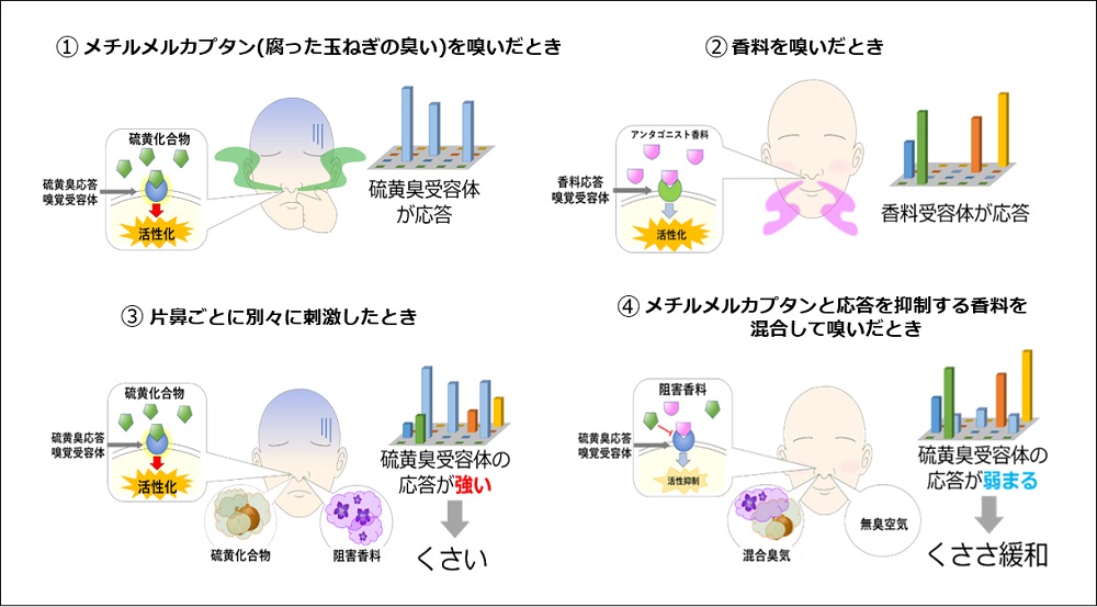エステー＿複合臭