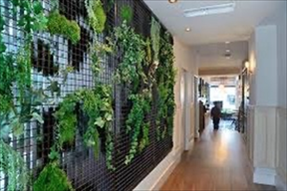 壁面緑化はもっと注目されてよい技術である。風雨にさらされることのない室内は、光と水が確保される環境にあるならば、外よりも植物の景観や健康が保ちやすく、美しい緑化が実現する