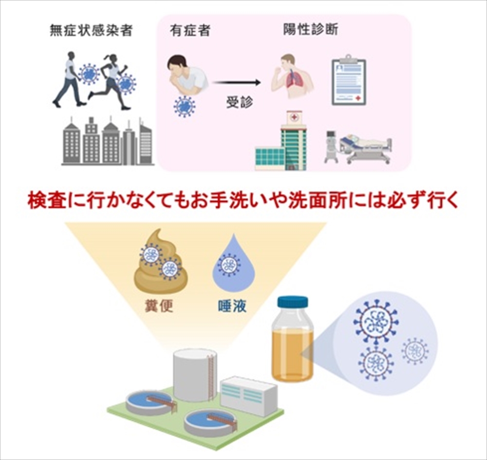 札幌市における下水疫学調査の活用 下水疫学データ 感染動向把握の指標に活用 ウェブサイトで公開し情報提供、注意喚起 北海道大学大学院工学研究院環境工学部門准教授 北島 正章 札幌市下水道河川局事業推進_図1 下水疫学調査の概念