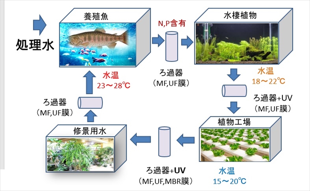 図3　下水処理牛のカスケード利用