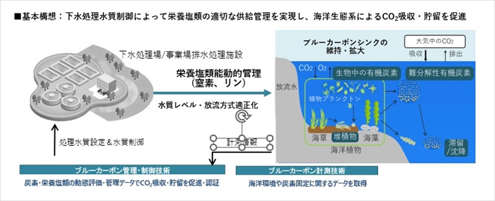 ブルーカーボンのための栄養塩類能動的管理と下水道の役割　「下水道ブルーカーボン構想」　海への貢献と脱炭素への貢献を同時に実現　ジャパンブルーエコノミー技術研究組合ＪＢＥ／ジャパンブルーエコノミー推進研_図1　「下水道ブルーカーボン構想」の概要