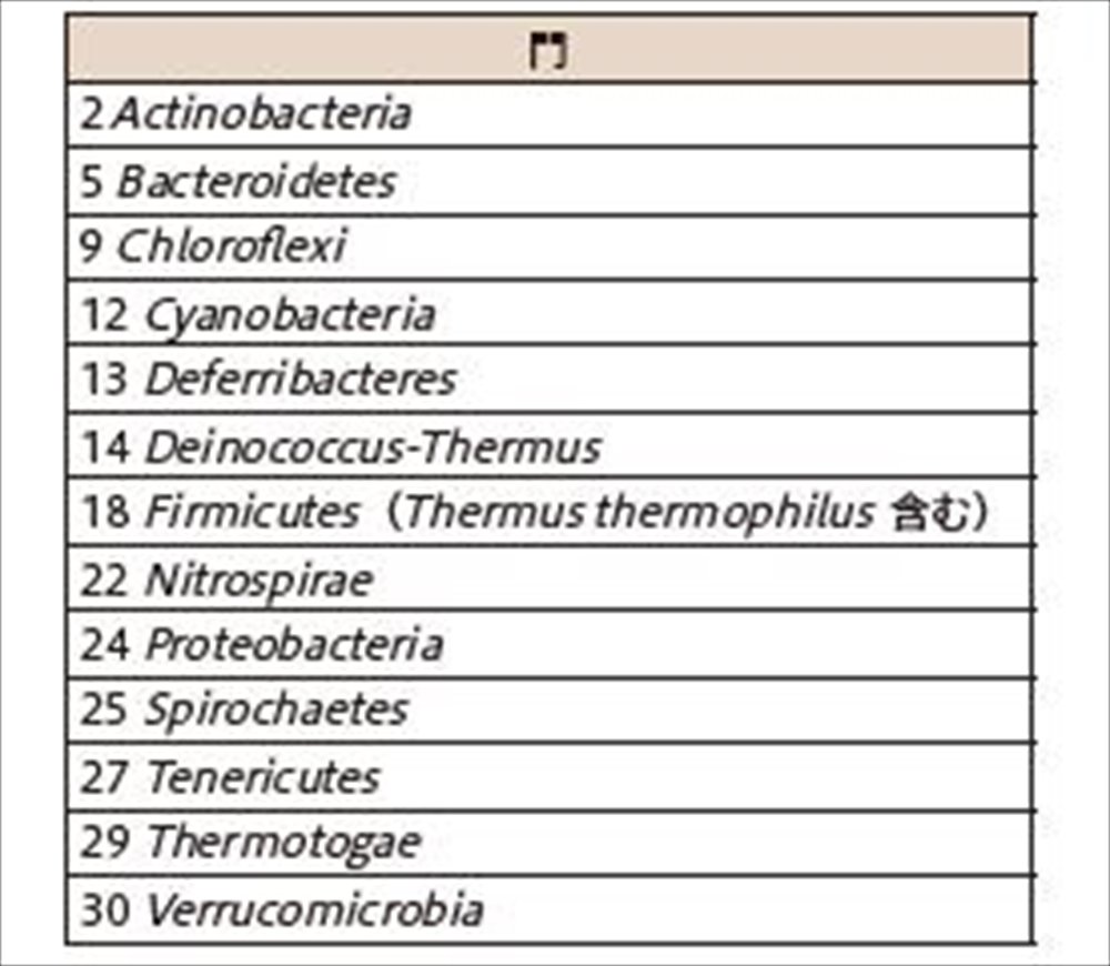 表2　堆肥の好気性発酵で活躍する細菌群