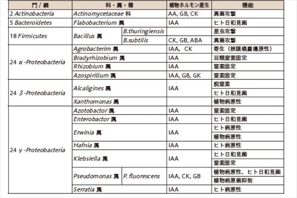 表3　植物成長促進根圏細菌（PGPR菌）；J. Vacheron,他Front. Plant Sci., 7, 1212（2016）（松井改変）