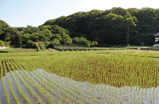 生物多様性に基づいた持続可能な農業講習会