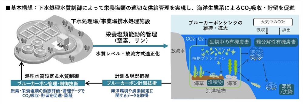 図1　「下水道ブルーカーボン構想」の概要