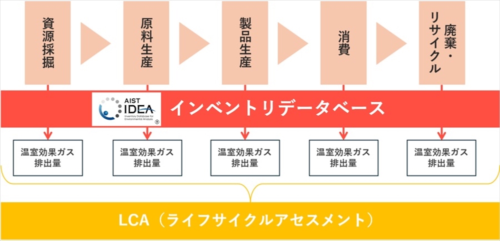 世界最大規模のインベントリＤＢ　産総研 最新版リリースへ_一般社団法人街路樹を守る会代表（共立女子大学他非常勤講師）　愛みち子　河津の伊代柑畑にて