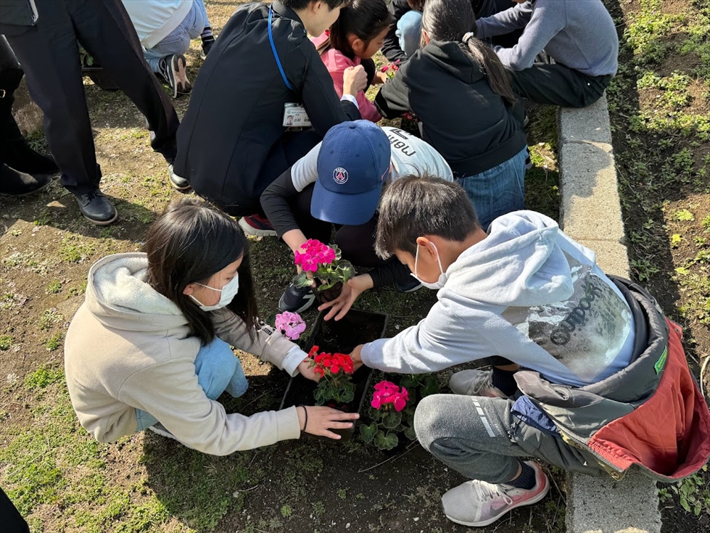 生ごみから作られた「ハマのありが堆肥」を使った植え付けも行った