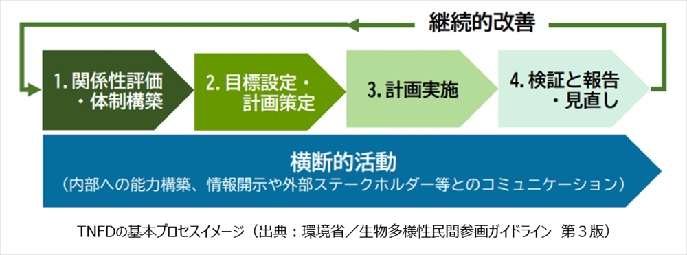 ＴＮＦＤの基本プロセスイメージ（出典：環境省／生物多様性民間参画ガイドライン　第３版）