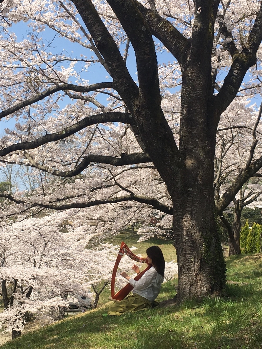 心理学×環境～臨床の現場より～（28）　人生にひびき、絆をつくる音楽の力　_野外で自然音を感じながら楽器を奏でれば、精神はのびやかに解放されます