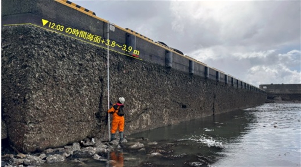 地球を見つめ直す(1)　科学の敗北では―能登半島地震　_能登半島地震で４メートルほど隆起した輪島市鹿磯漁港。防潮堤に固着した生物の遺骸から地震による地殻変動の激しさが分かる（地震調査委員会資料から=産業技術総合研究所提供）