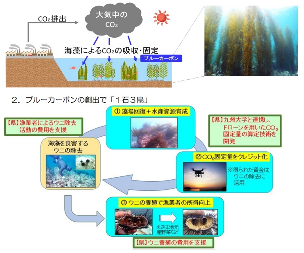 ブルーカーボンの創出で「１石３鳥」（福岡県）