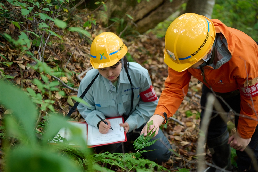 建設環境研究所　「自然共生サイト（ＯＥＣＭ）認定支援サービス」　生物多様性のビジネス化に実感　自社・顧客企業に積極的効果_自然環境の調査風景