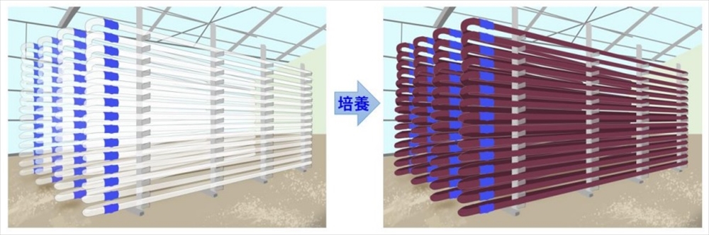 実証設備のイメージ