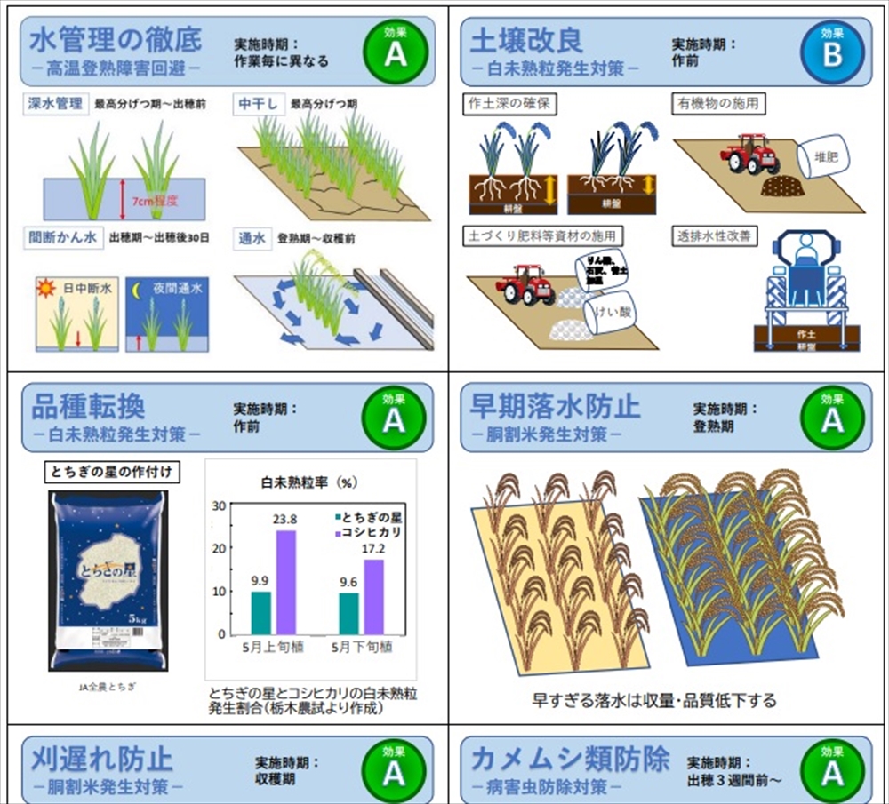 2406190306totigiken