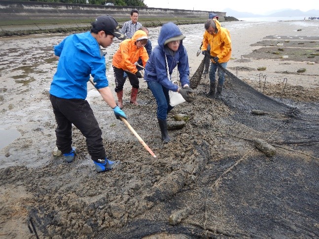 被覆網に積もった砂の除去の様子_　アサリの養殖場整備を実施　広島湾の干潟で　復建調査設計　