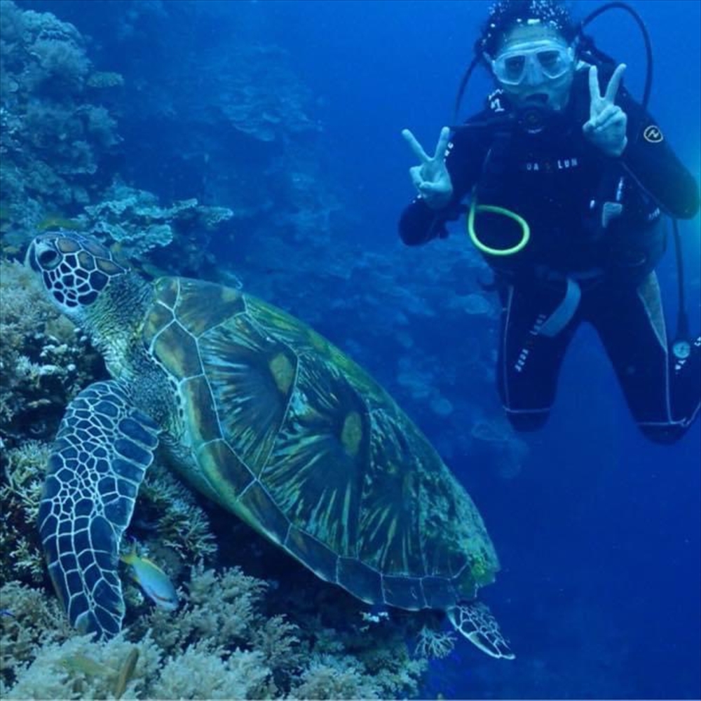 海にはさまざまな生物がいて地上以上のコミュニティが