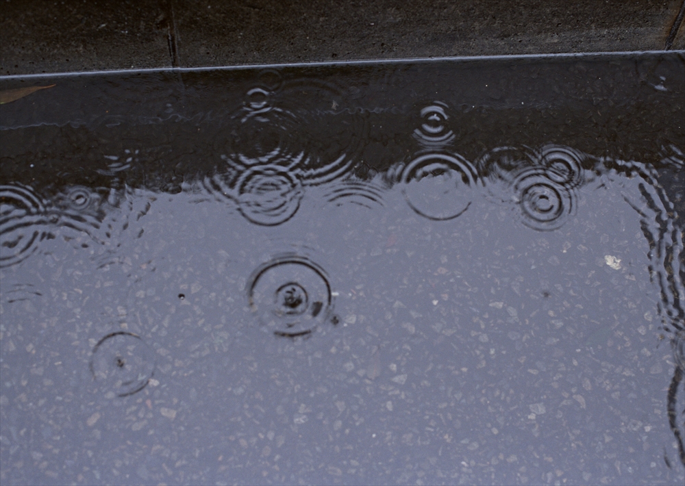 IMAGE_この写真は、雨水がたまった地面の水たまりの表面にできる波紋を捉えています。雨が降っているか、最近降った後の景色のようです。水面が静かで、波紋が広がっている様子が印象的です。
