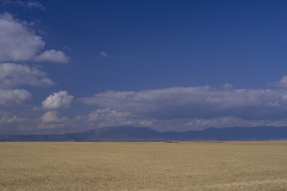 IMAGE_この写真は、青空と雲、広がる草原または農地、そして背景に山が見える風景のようです。自然の景観を示していると思われます。