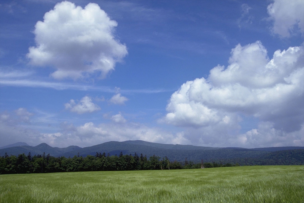IMAGE_この写真は、青空と白い雲、緑の草原、遠くに山々が見える風景を捉えているようです。自然の景観や風景写真の一部として、美しい景色を表現していると思われます。
