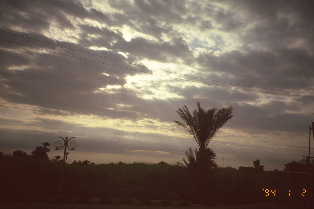 IMAGE_この写真は、空に雲が広がり、いくつかの植物、特にヤシの木が見える風景のようです。傾いた光や暗い雲があり、夕暮れ時や朝の清々しい瞬間を捉えたものかもしれません。周囲には街灯や風景があるようですが、詳細は分かりません。