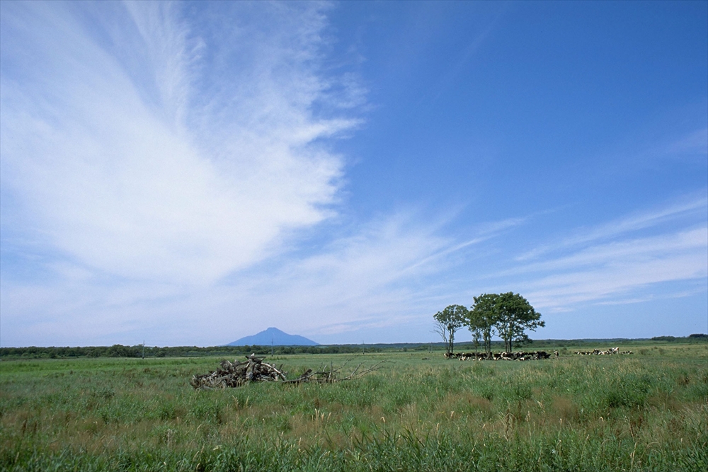 IMAGE_これは広々とした風景の写真で、青空と雲が広がっている様子が写っています。手前には緑の草原が広がり、いくつかの木や、高い山が遠くに見えます。このような景観は自然の美しさを表現していると言えます。特定の場所を示すものではなく、一般的な風景の一例と考えられます。
