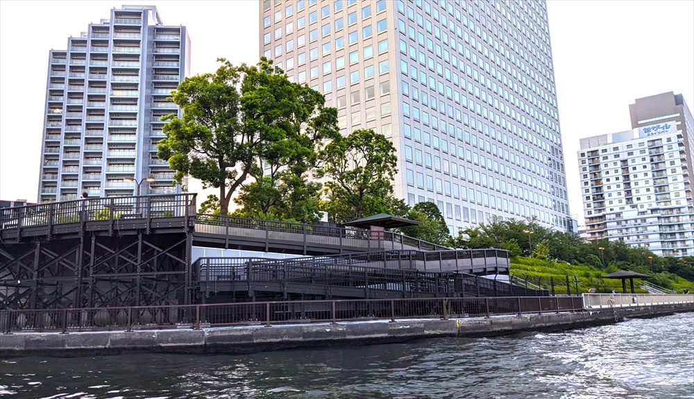 隅田川から見た箱崎堤防。手前のスロープの上方にクスノキが４本ある（24年８月13日）