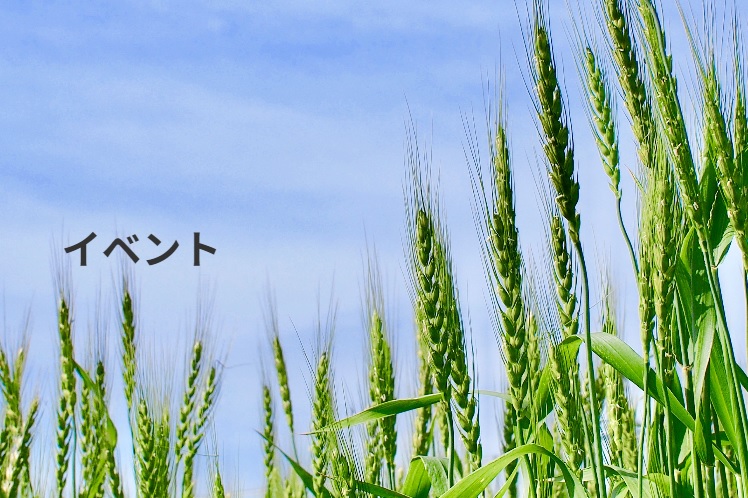 農研機構