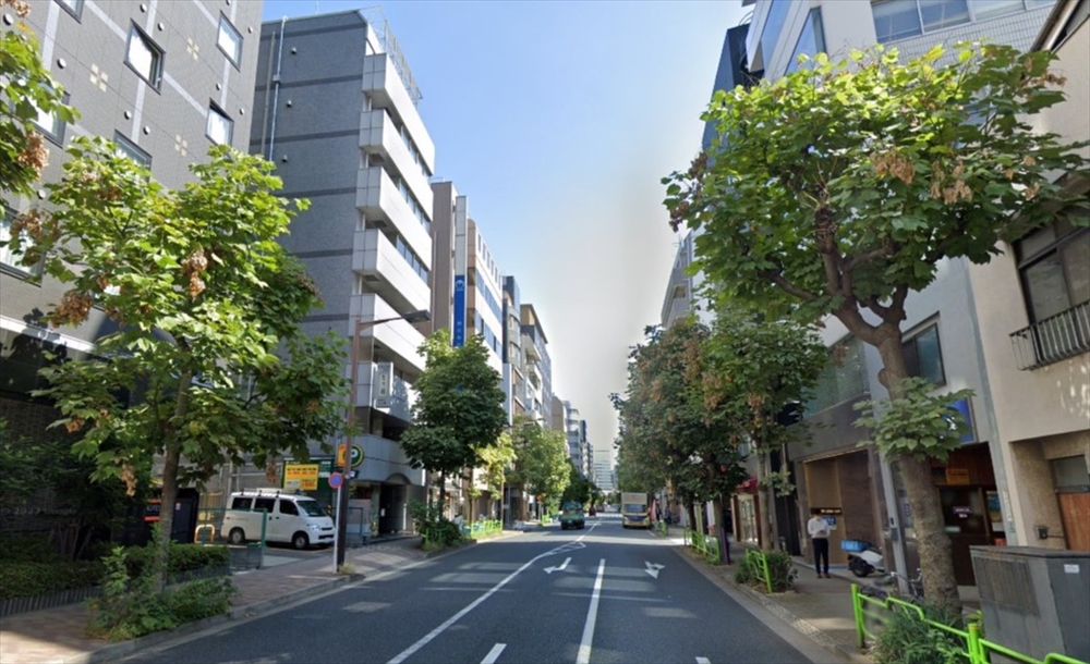 街路樹ものがたり（68）　京橋：アオギリはなぜ伐られたのか　_中央区新富町のアオギリ並木。２０２３年10月の様子。向かって右側の樹々が全てなくなってしまった