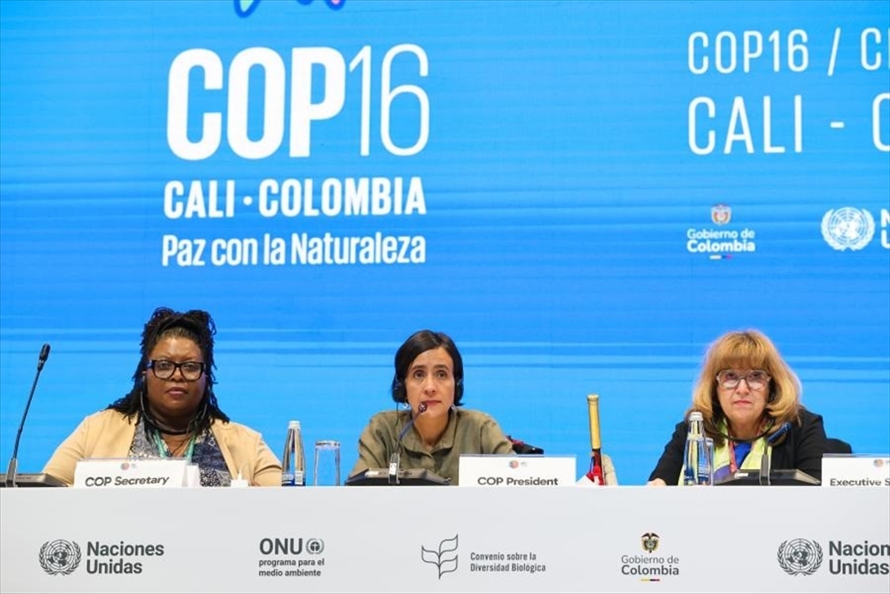 COP16議長のムハマド・コロンビア環境・持続可能な開発相（中央）ら（提供・国際持続可能開発研究所）