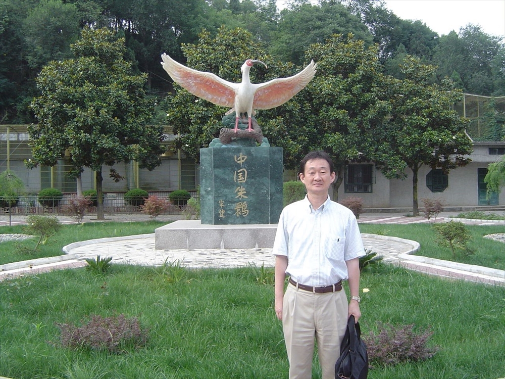 シャオリュウの中国環境ウオッチ(132) 日中トキ協力の25年 _2007年6月に洋県の朱鷺救護飼養センターにて撮影