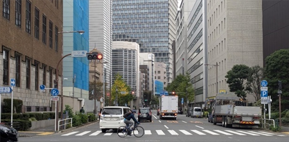 同（２０２４年秋）。すでに18本のイチョウの大木が強引に伐られ、環境も景観も一変した
