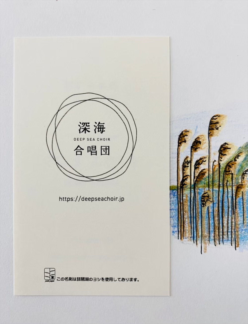 琵琶湖で刈り取られた足を原料にした紙（葦20％+パルプ80％）で作った名刺