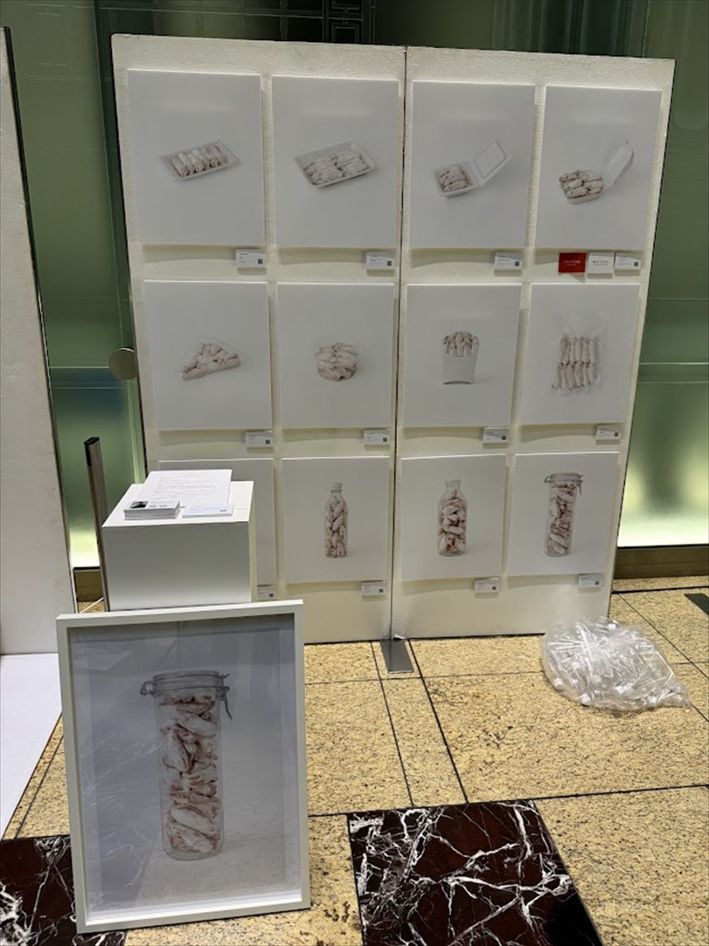 グランプリを受賞した中谷優大氏の作品「Ｌｅｎｔｉｃｕｌａｒ」