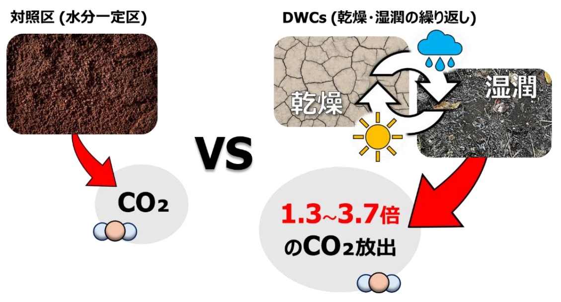 _　温暖化で土壌ＣＯ２の排出増　湿潤・乾燥の繰り返しで　新潟大学らが研究　