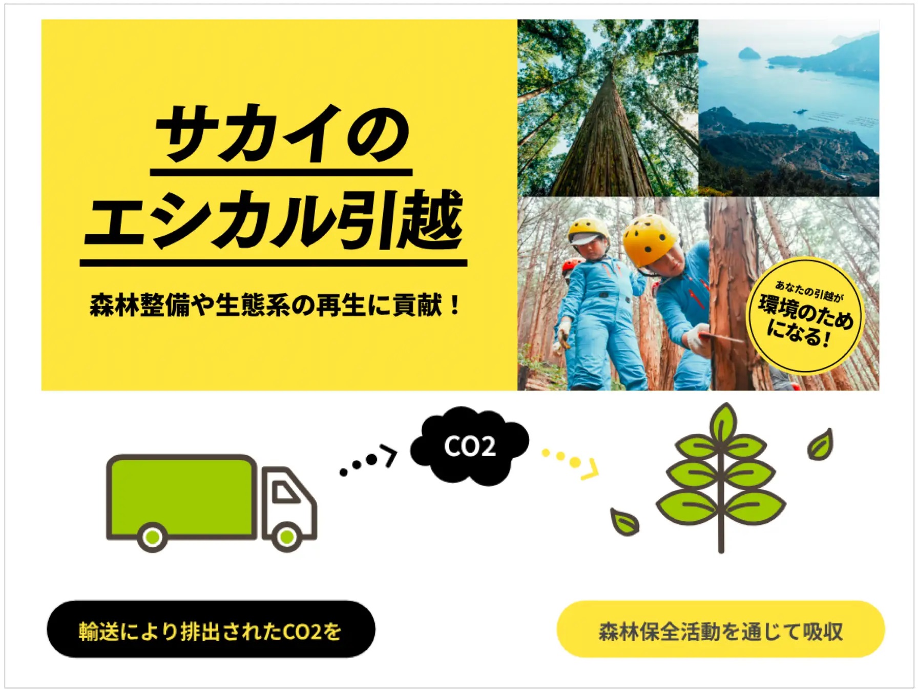 _　サカイ「エシカル引越」発売　森林保全でＣＯ２相殺　ｐａｒａｍｉｔａと　