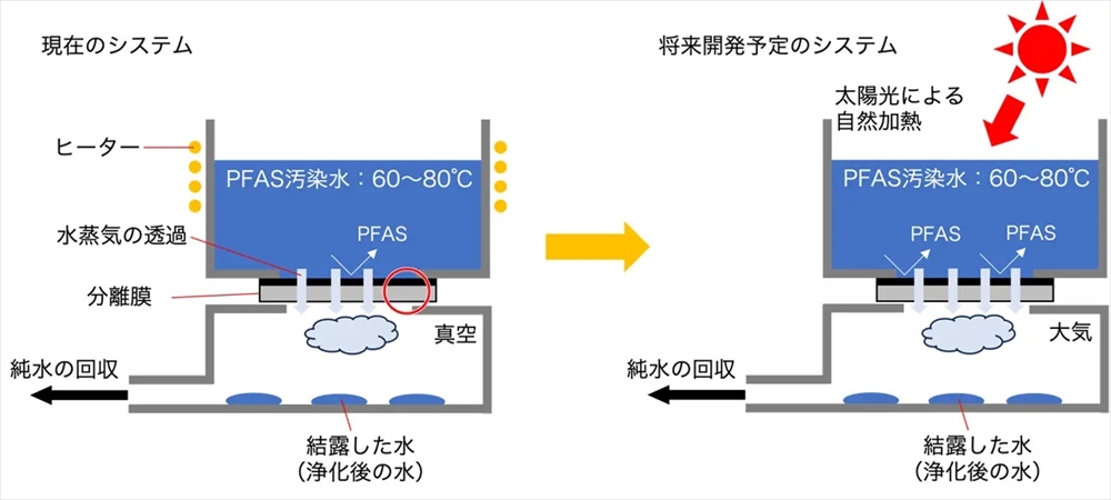 「砂糖」カーボン膜でPFAS除去 東京科学大学 測定限界値以下へ低減_
