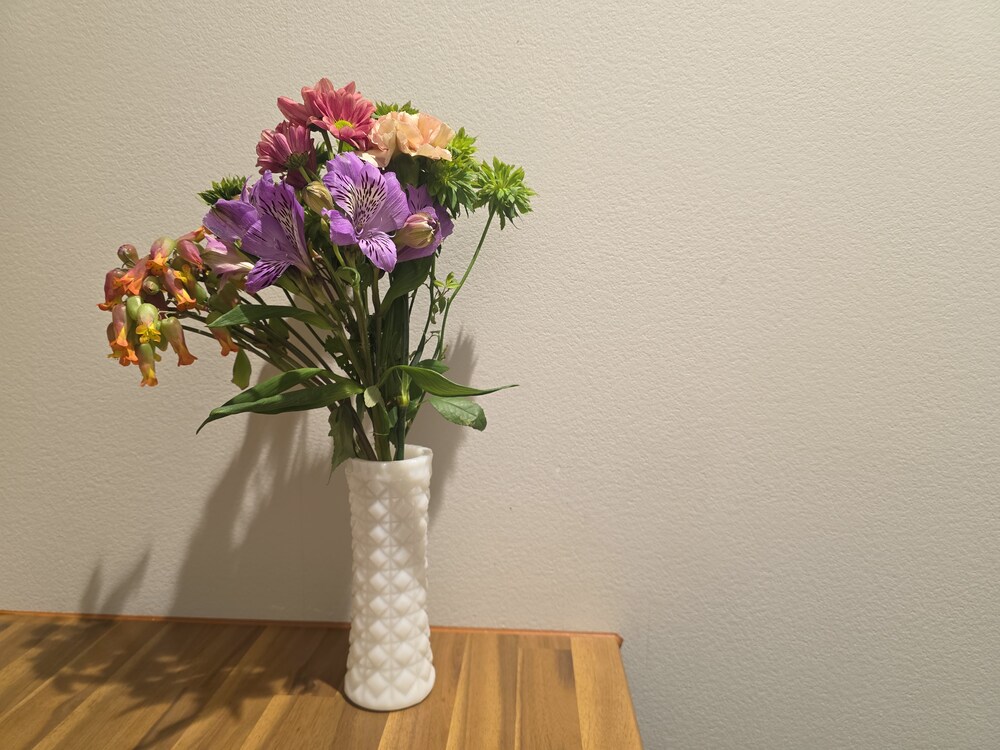 規格外の花を取り扱う店舗で購入した花