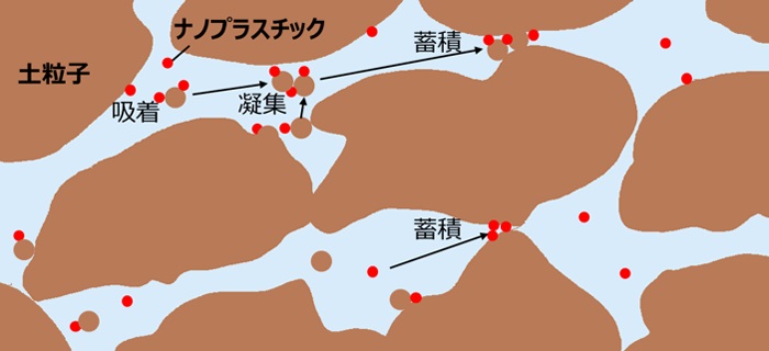 土壌中ナノプラスチックの移動イメージ