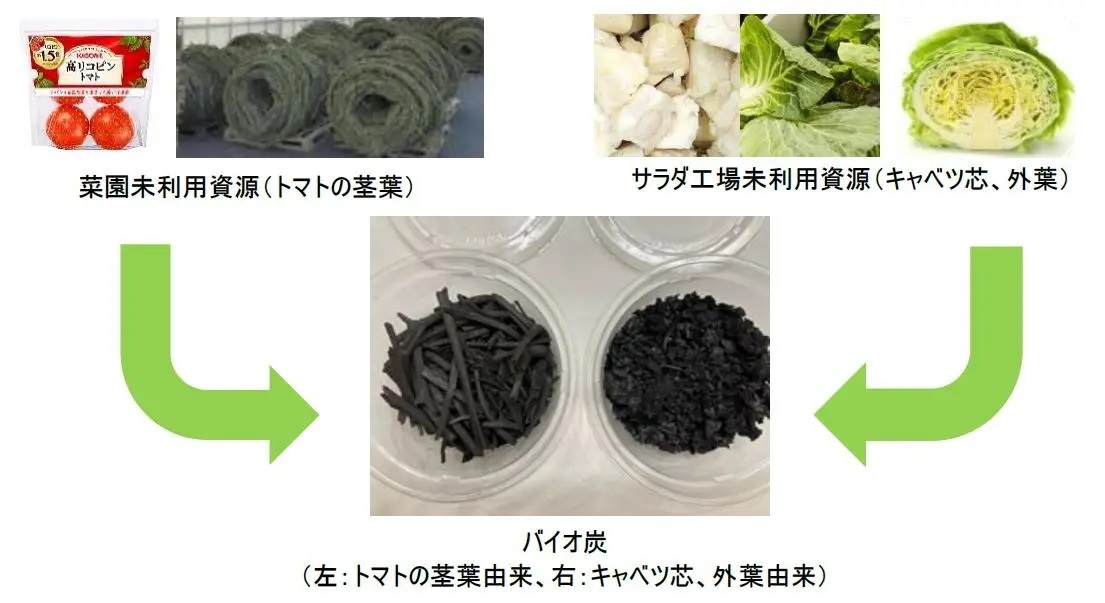 キユーピー、カゴメ 野菜残さのバイオ炭 持続可能な農業へ共同研究_