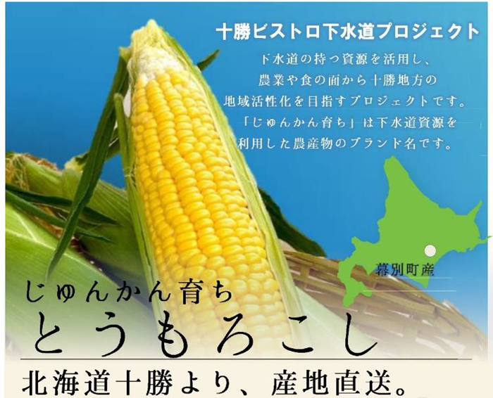 2506180706junkansodati
