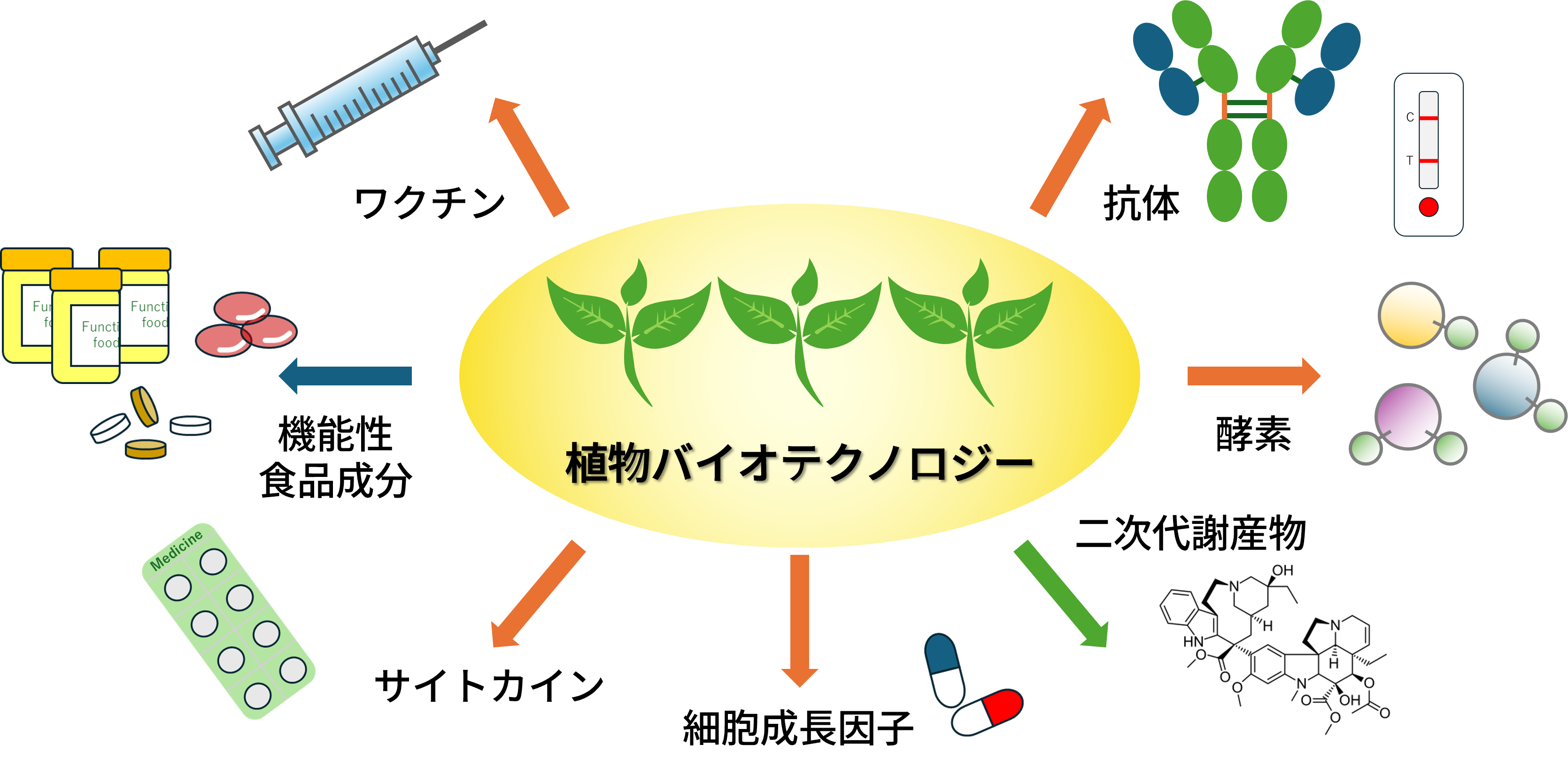 C:\Users\win74\Desktop\企画・記事関係\20250710_6★植物を用いた有用タンパク質生産のための研究開発拠点を設置しま\250713nedo.png_ 世界初の植物タンパク質開発拠点 バイオものづくりの拠点へ NEDOらが横国大内に設置