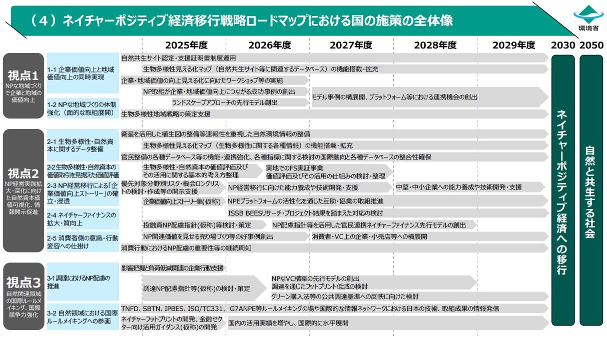 ロードマップ案