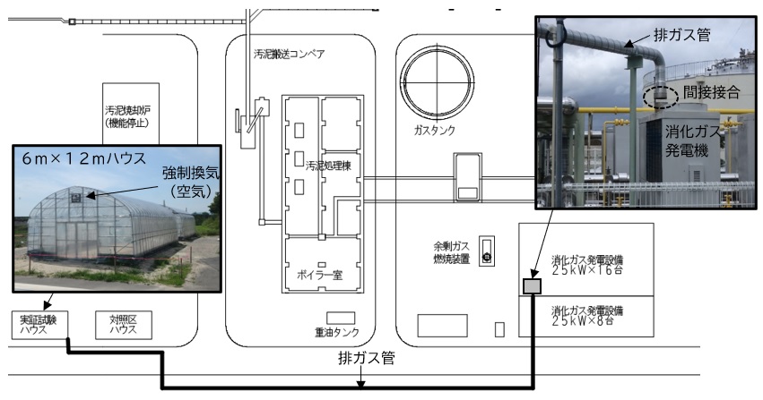 図４　農業実証施設