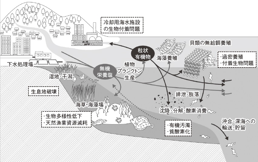 ネイチャーポジティブ時代における下水道システムの役割~沿岸海域の物質循環の視点から~ 生態系サービスの持続利用へ相互利用と協働を 第一歩は「物質の流れ」の視点の共有 東北大学大学院工学研究科土木工学専_図1 沿岸海域における栄養塩・有機物の流れは、さまざまな自然現象や人間活動とつながり、さらに利害関係を形作っている。養殖漁業における施業改善や干潟・藻場などの保全・再生の取り組みも、規模が小さくとも、必ずそれらの物質の動きと相互に作用しあっている