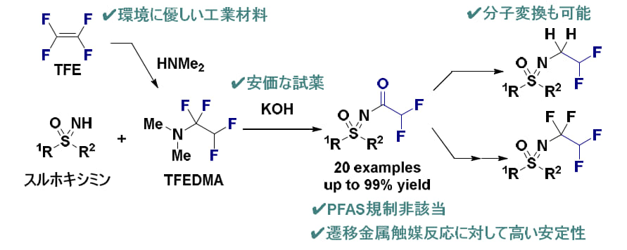 2511050305meikoudaipress_shibata